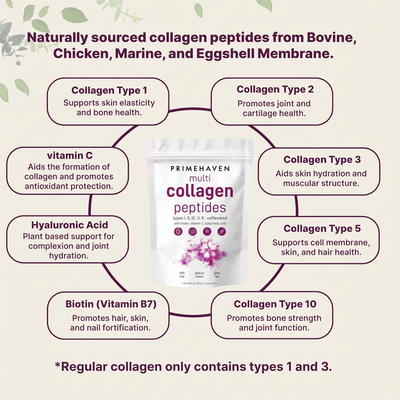 Multi Collagen Peptides Powder - Anti-Aging, Joints & Skin Health