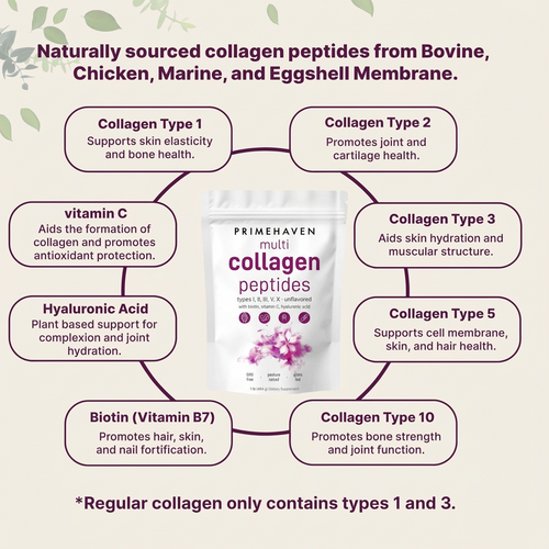 Multi Collagen Peptides Powder - Anti-Aging, Joints & Skin Health