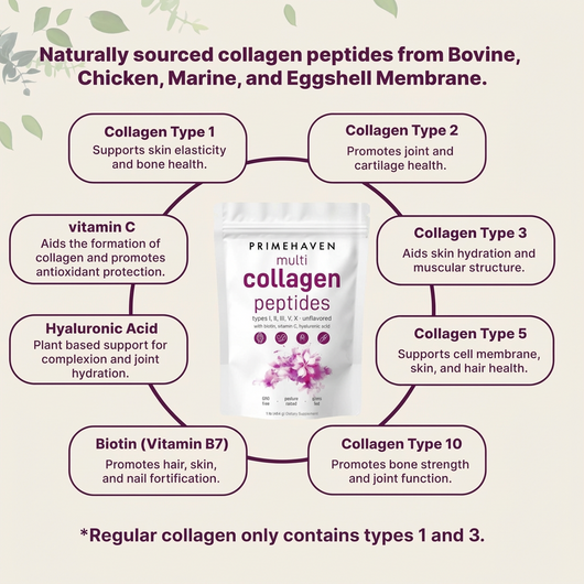 Multi Collagen Peptides Powder - Anti-Aging, Joints & Skin Health