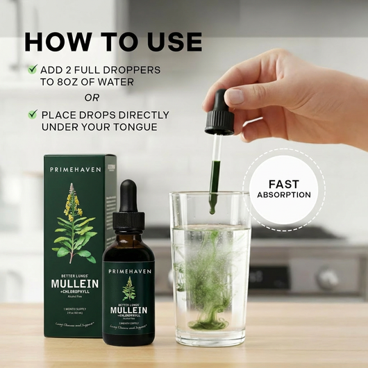 Mullein Drops - Lung, Throat & Mucus Clearance Support