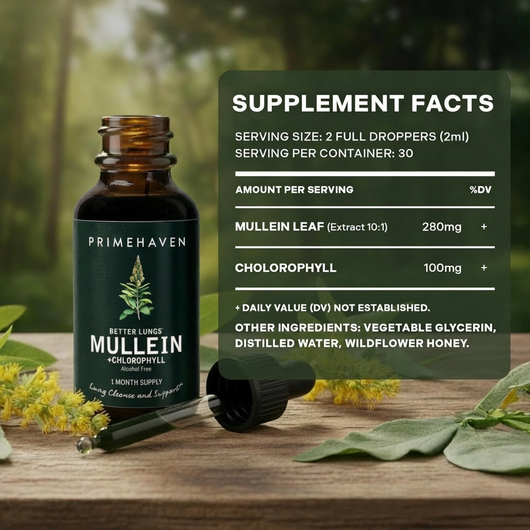 Mullein Drops - Lung, Throat & Mucus Clearance Support